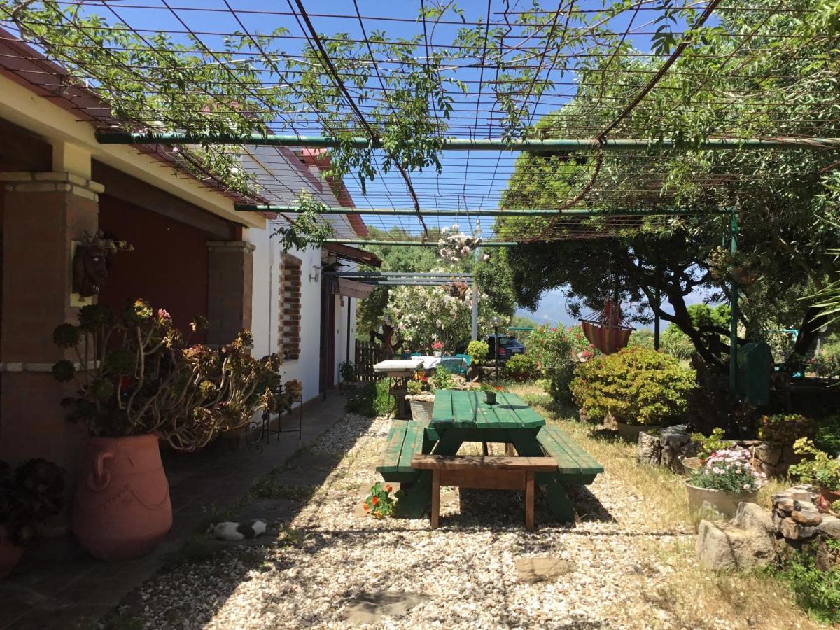 Su Saucu Villa ดอร์กาลี ภายนอก รูปภาพ